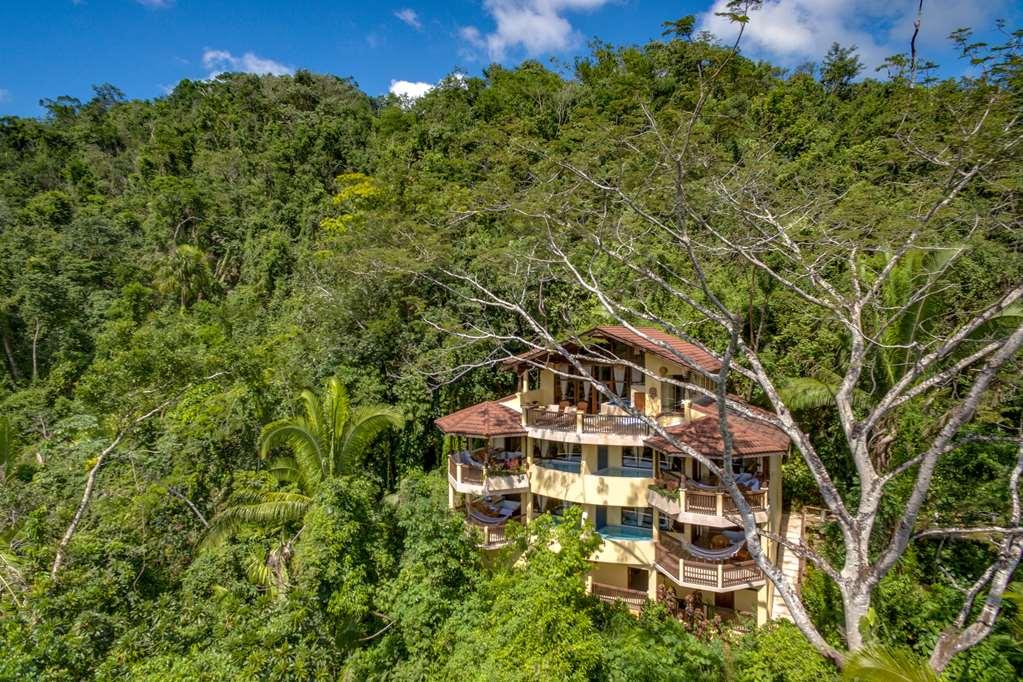 Sleeping Giant Rainforest Lodge Belmopan Exteriör bild