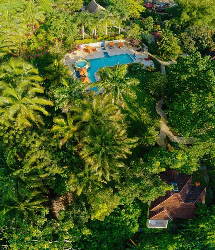 Sleeping Giant Rainforest Lodge Belmopan Exteriör bild