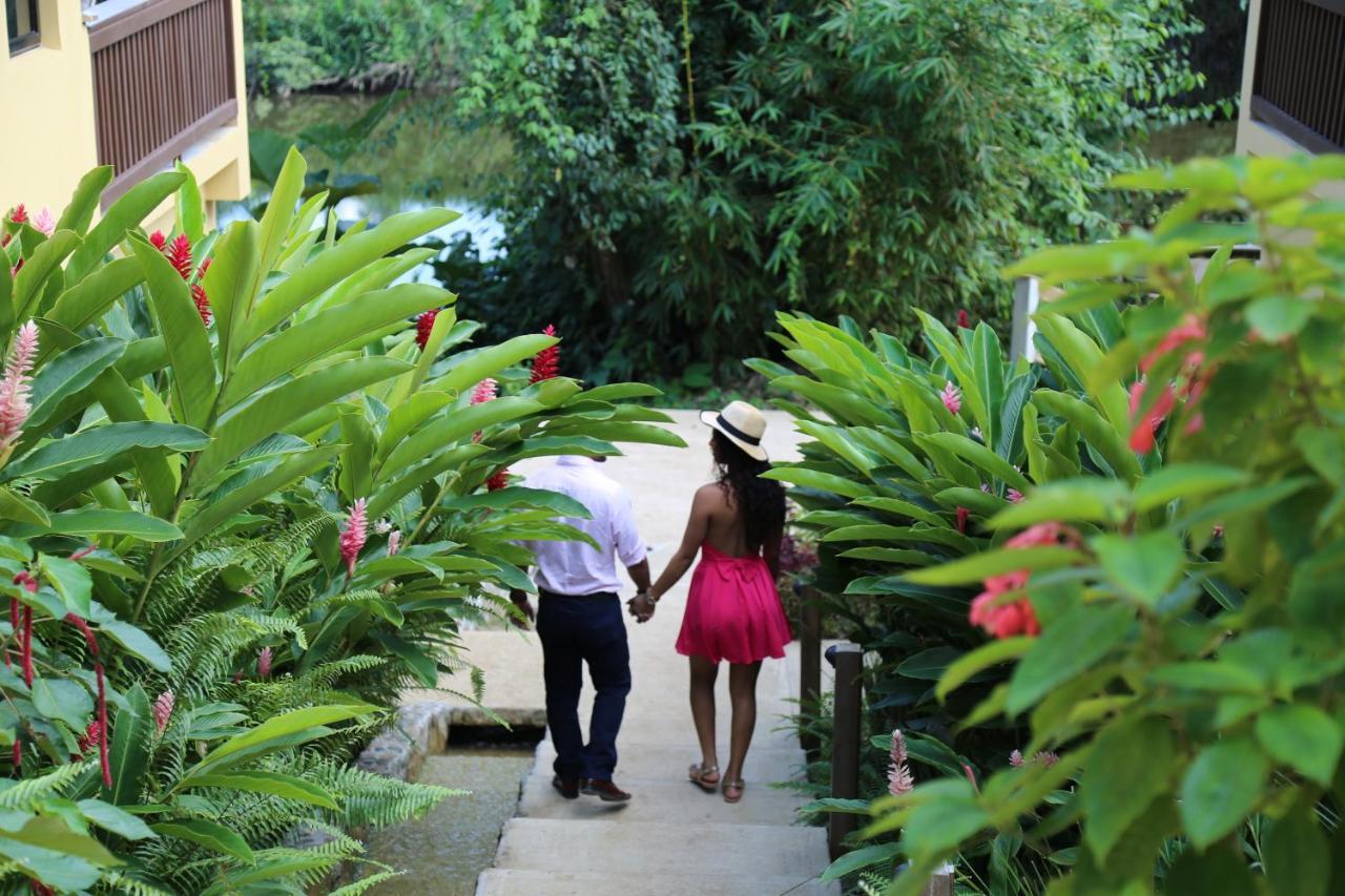Sleeping Giant Rainforest Lodge Belmopan Exteriör bild