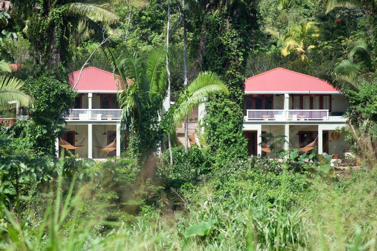 Sleeping Giant Rainforest Lodge Belmopan Exteriör bild