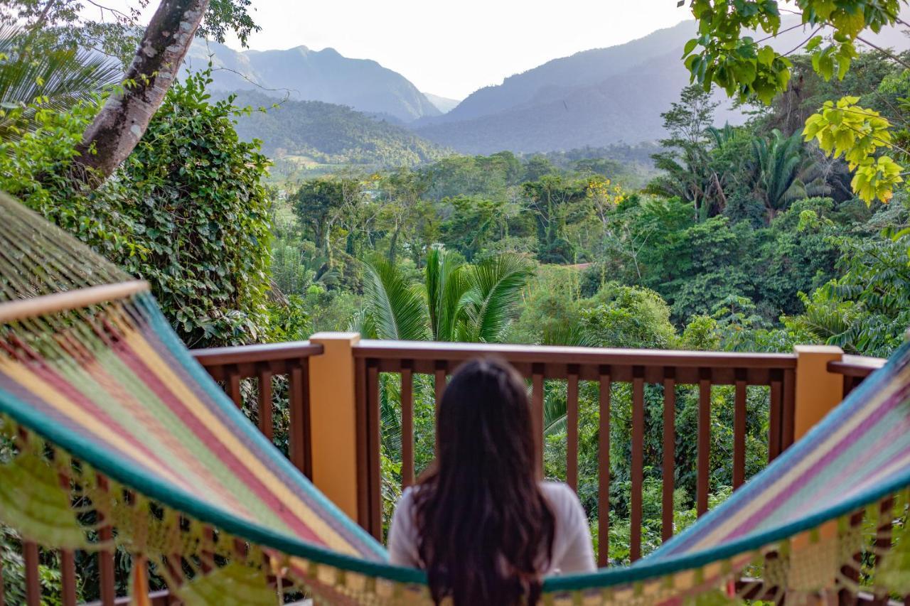 Sleeping Giant Rainforest Lodge Belmopan Exteriör bild